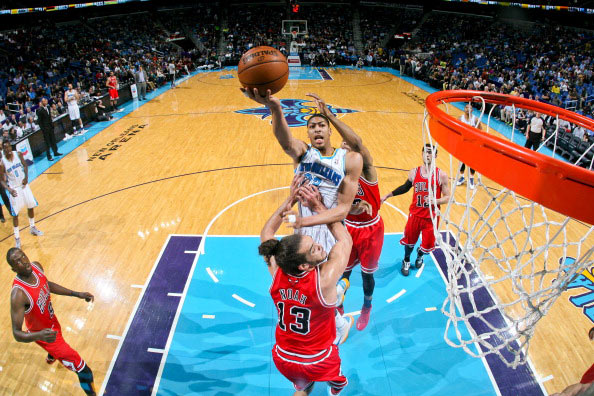 多样性意味 多样性意味